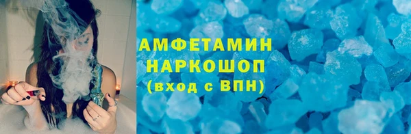 гидра Грязи