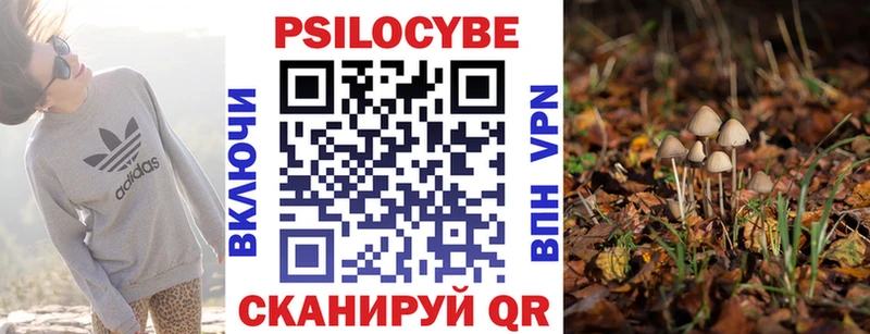 купить наркоту  кракен tor  Галлюциногенные грибы Psilocybine cubensis  Белинский 