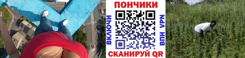 МАРИХУАНА индика  наркота  Белинский 